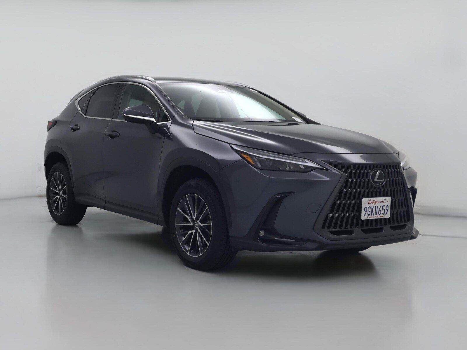 2024 LEXUS NX