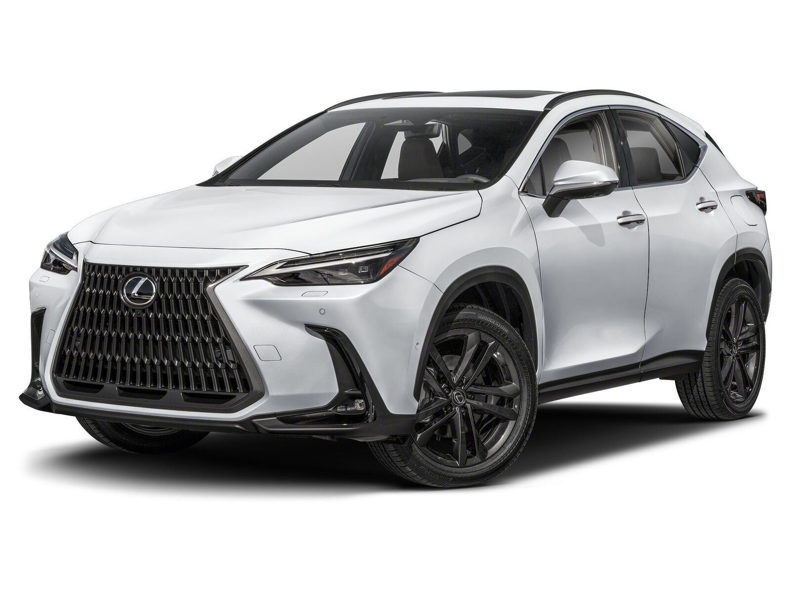 2025 LEXUS NX