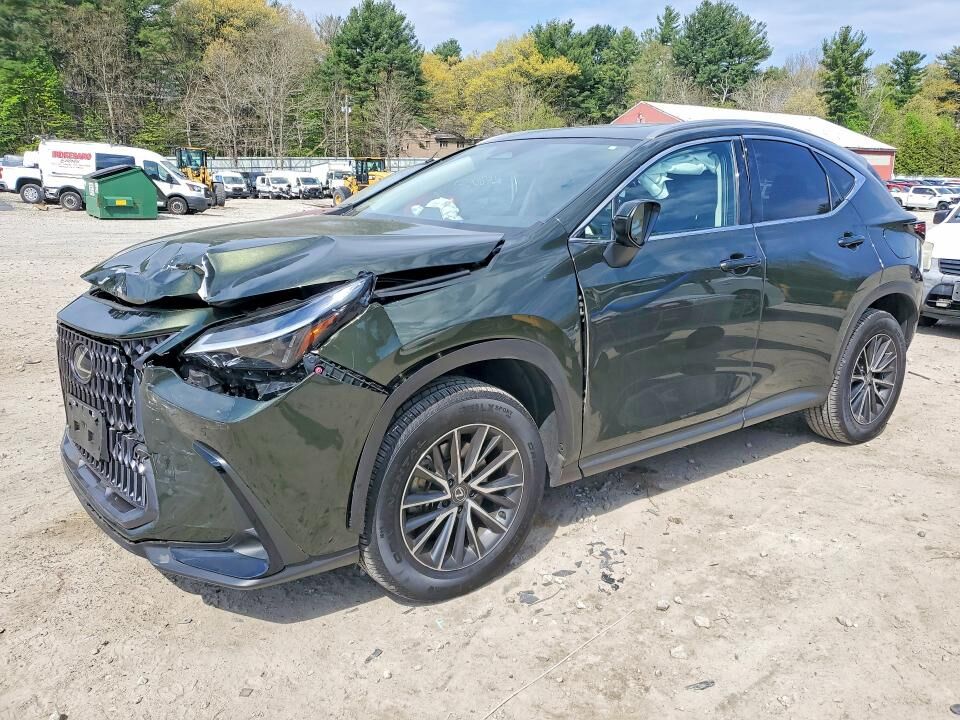 2024 LEXUS NX