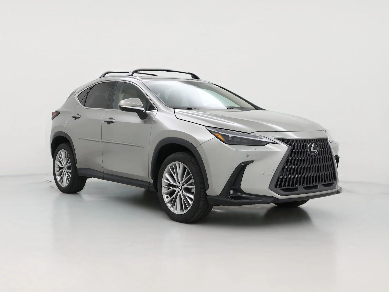 2024 LEXUS NX