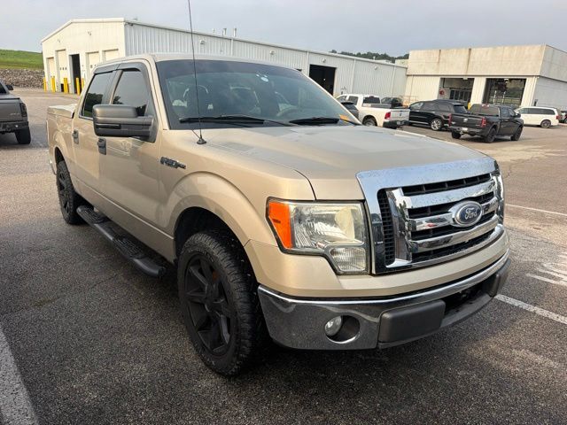 2010 FORD F-150