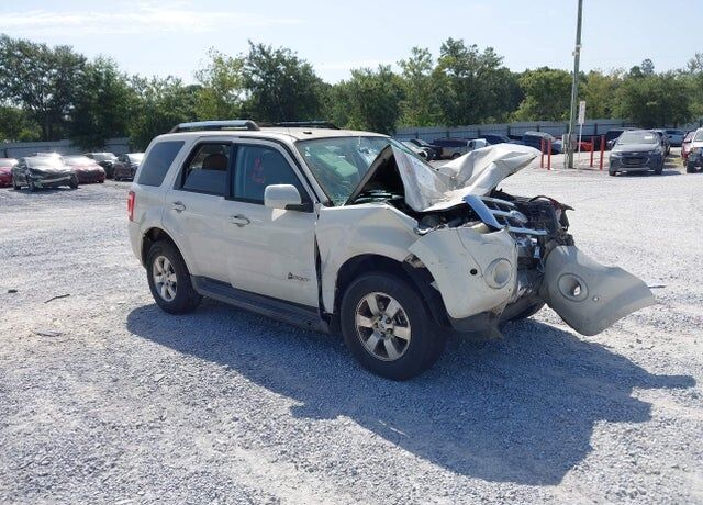 2010 FORD Escape