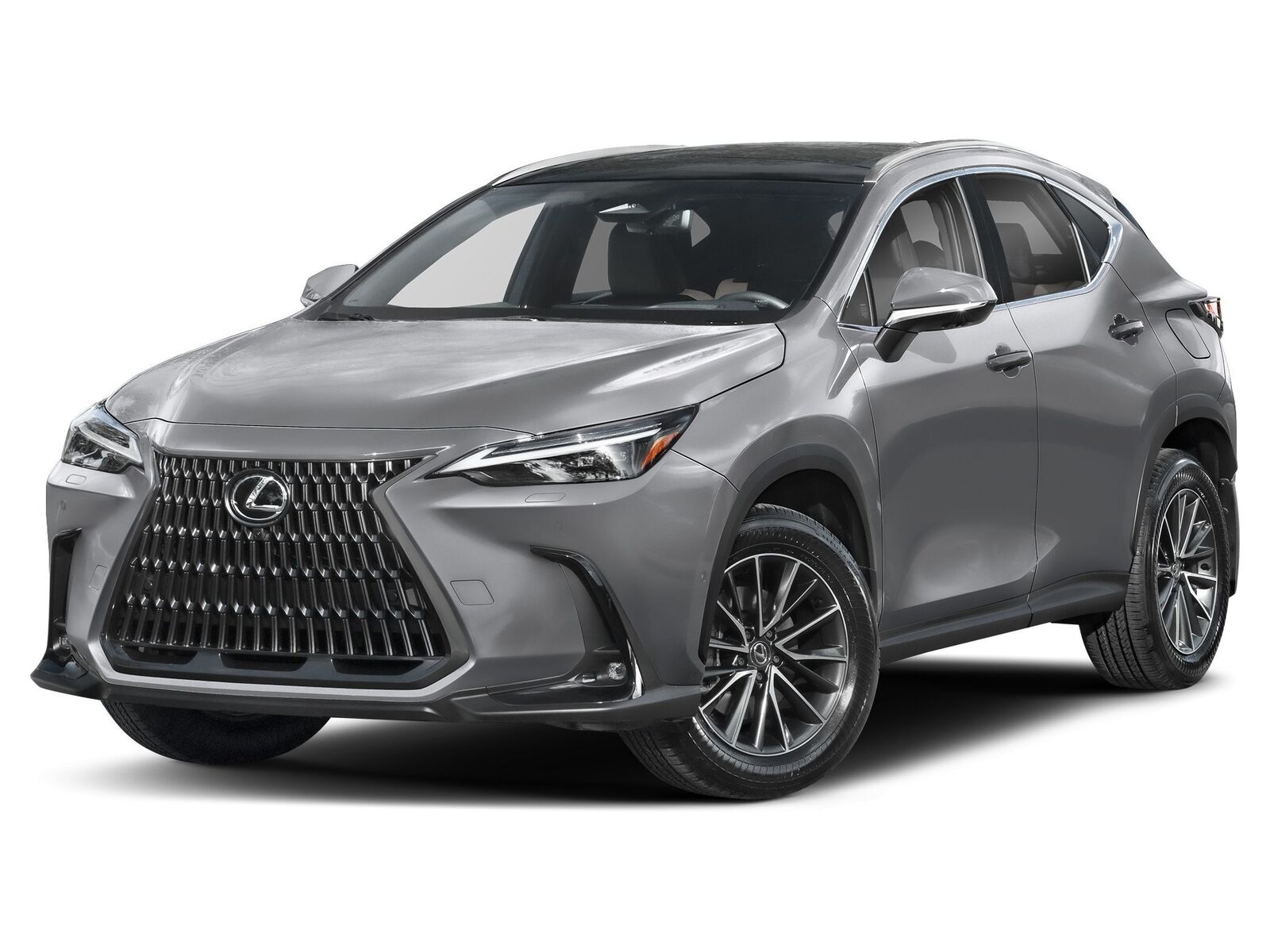 2025 LEXUS NX