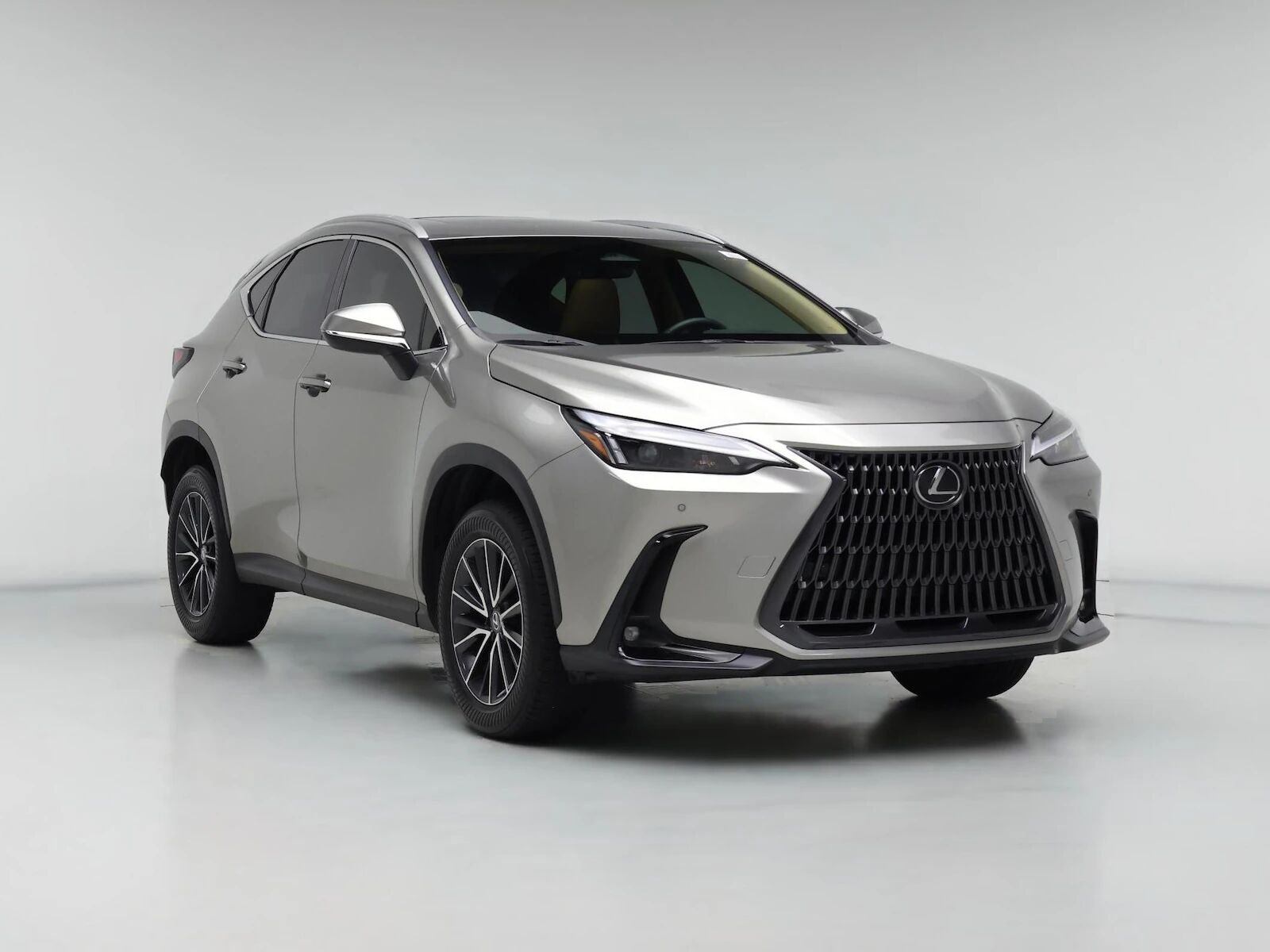 2024 LEXUS NX