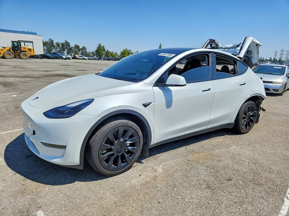 2024 TESLA Model Y