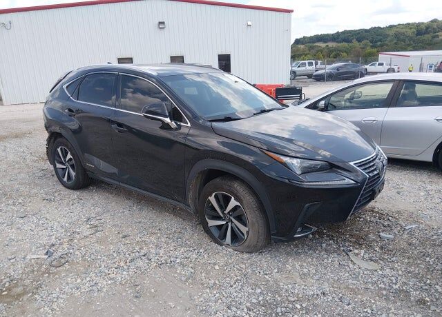 2019 LEXUS NX