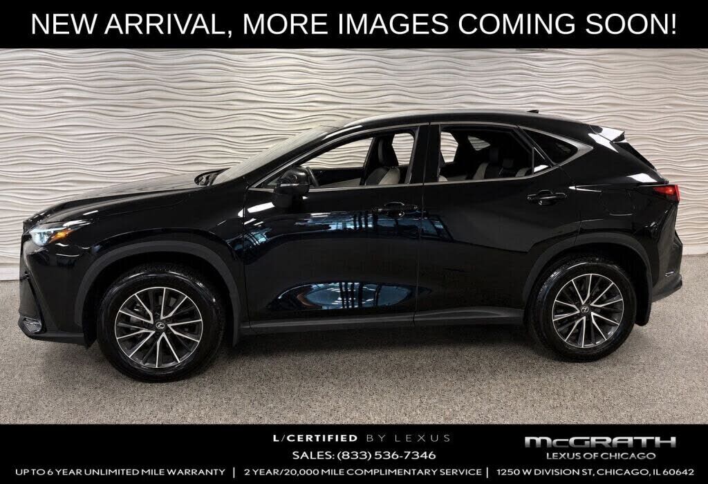 2024 LEXUS NX