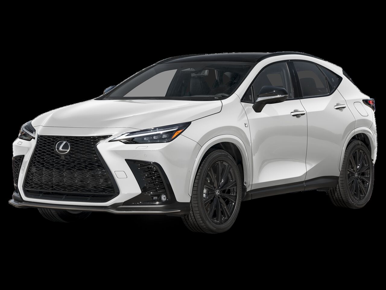 2024 LEXUS NX