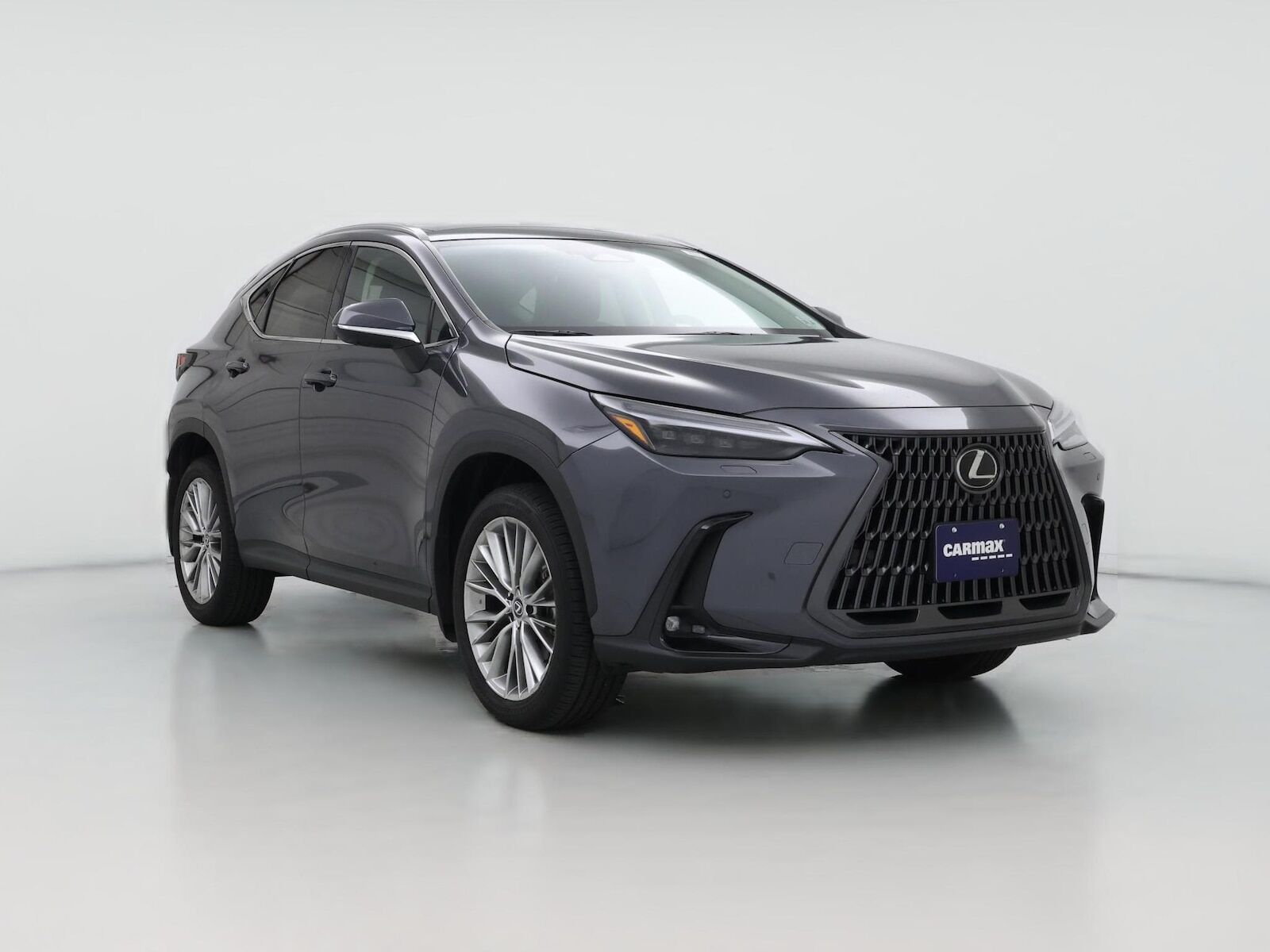 2024 LEXUS NX