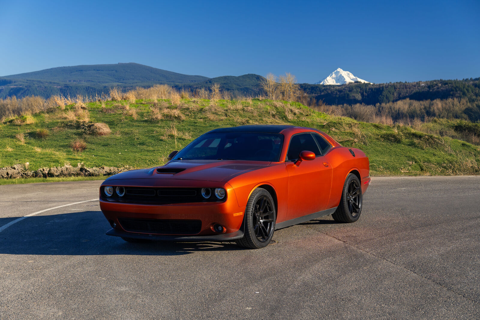 2022 DODGE Challenger