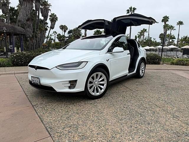 2019 TESLA Model X