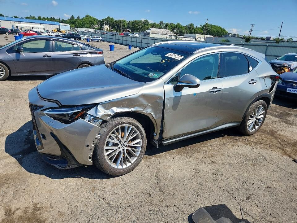 2025 LEXUS NX