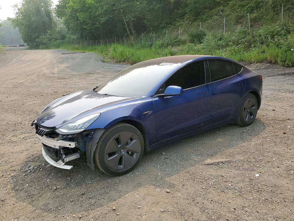 2019 TESLA Model 3