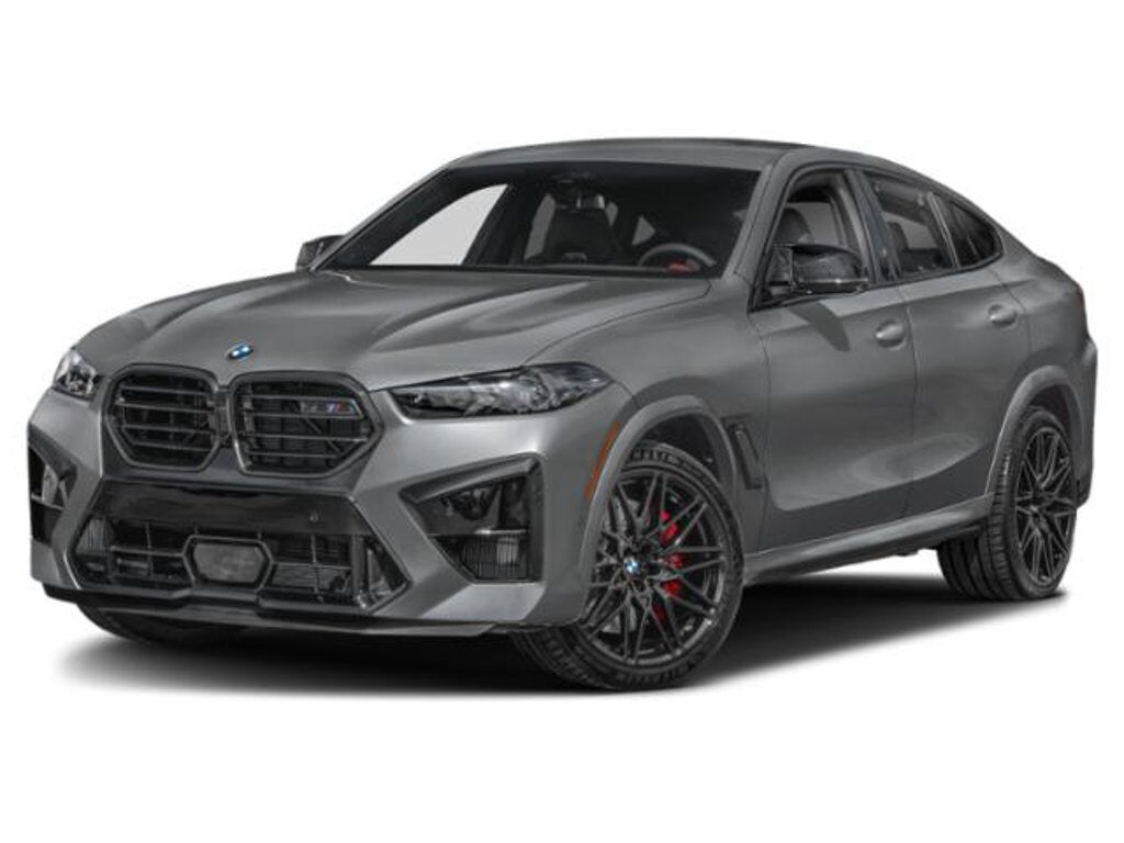 2024 BMW X6