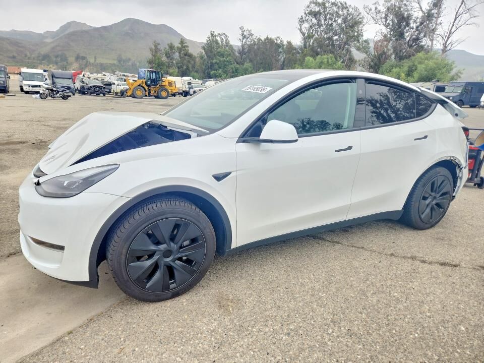 2024 TESLA Model Y