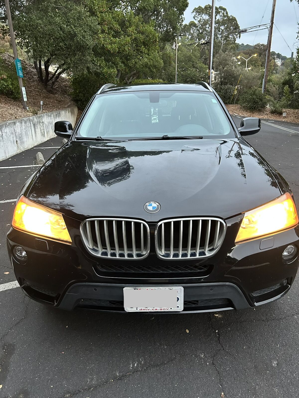 2014 BMW X3