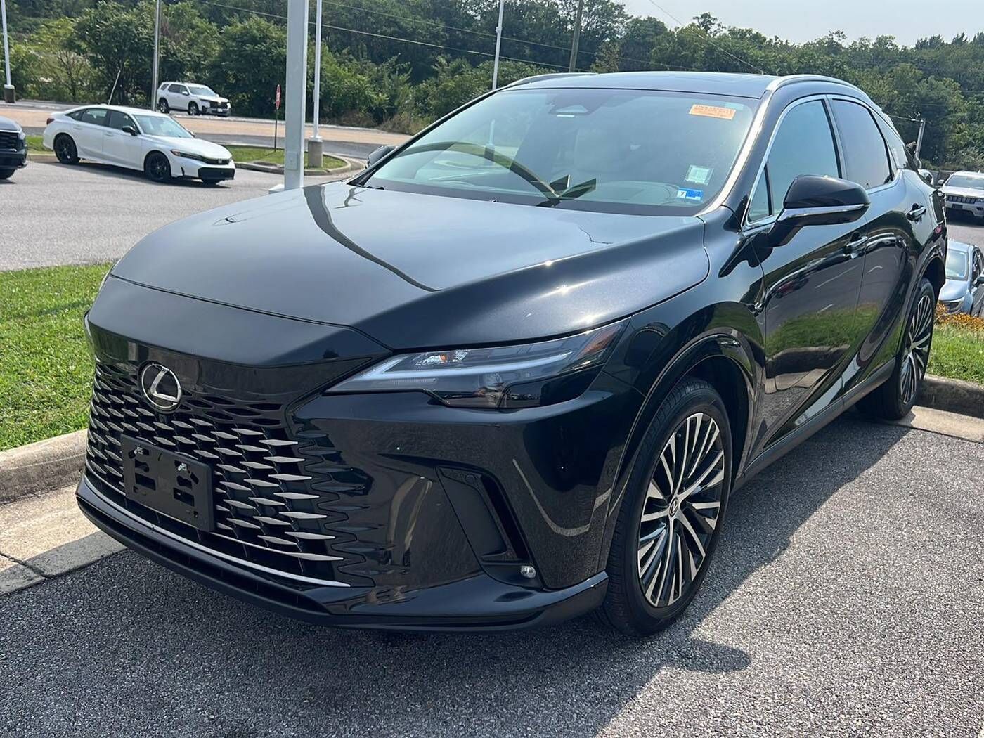 2025 LEXUS RX