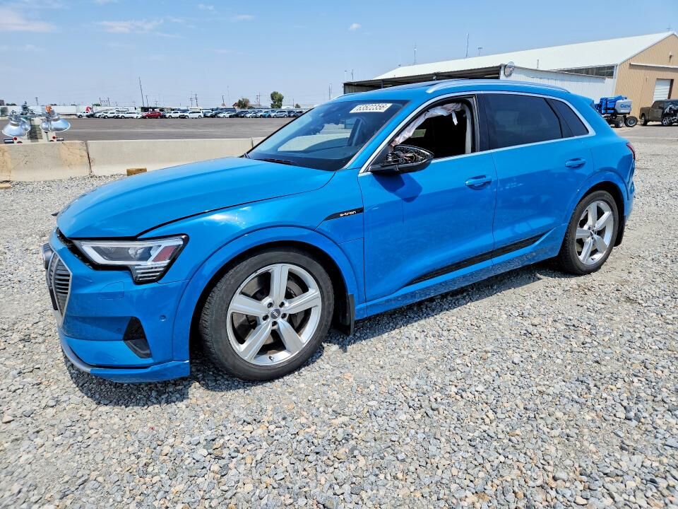 2019 AUDI e-tron