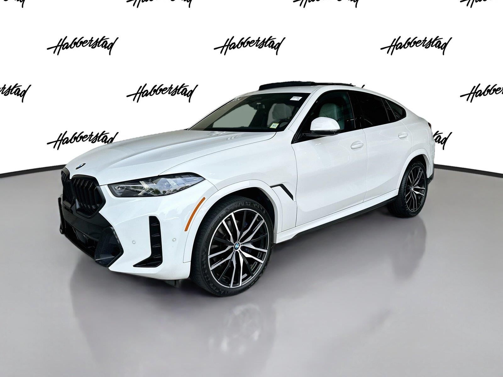 2024 BMW X6