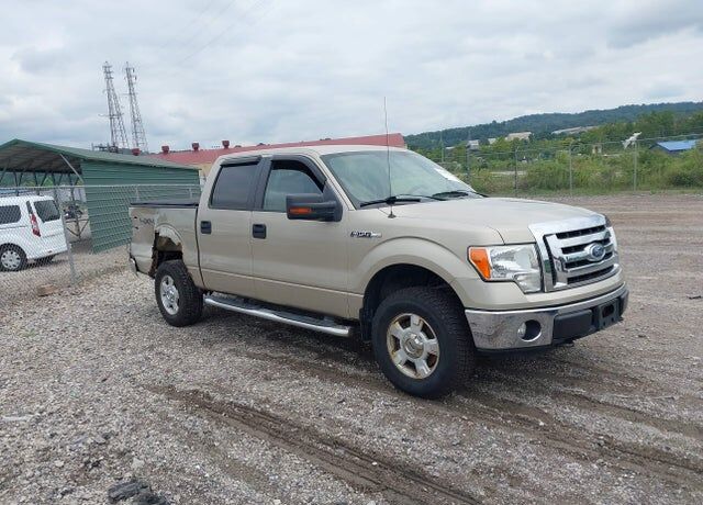 2010 FORD F-150