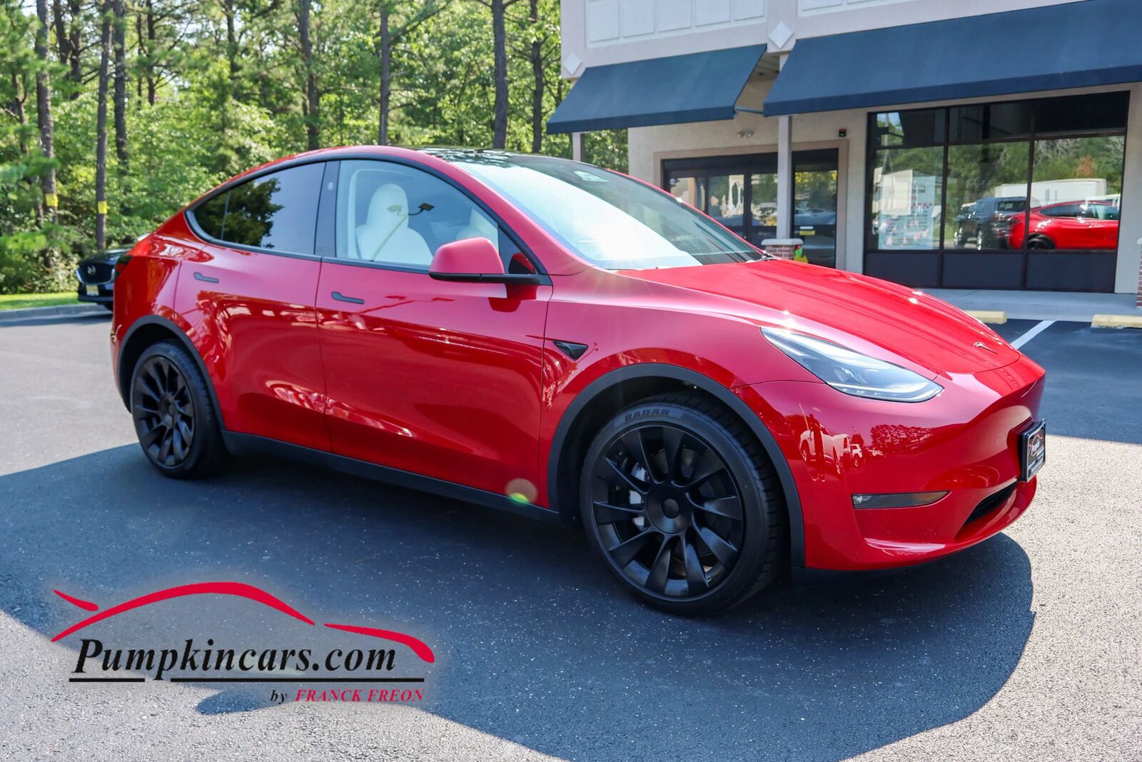 2023 TESLA Model Y