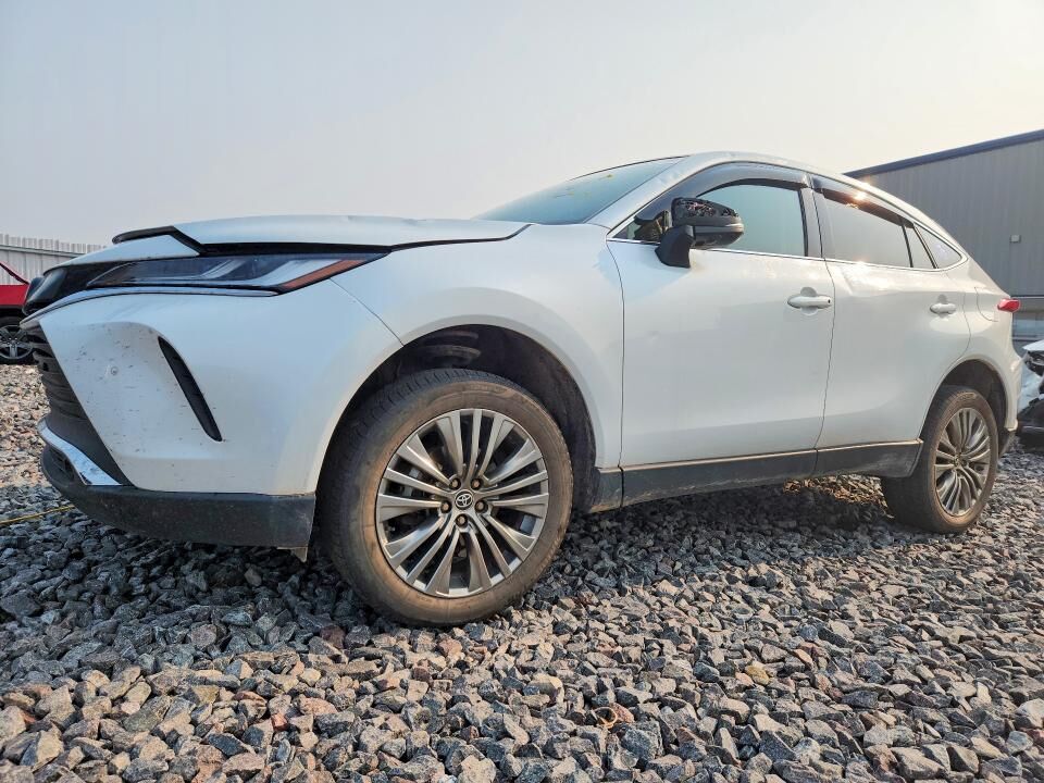 2024 TOYOTA Venza
