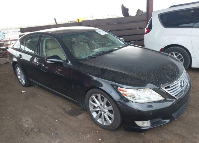 2010 LEXUS LS
