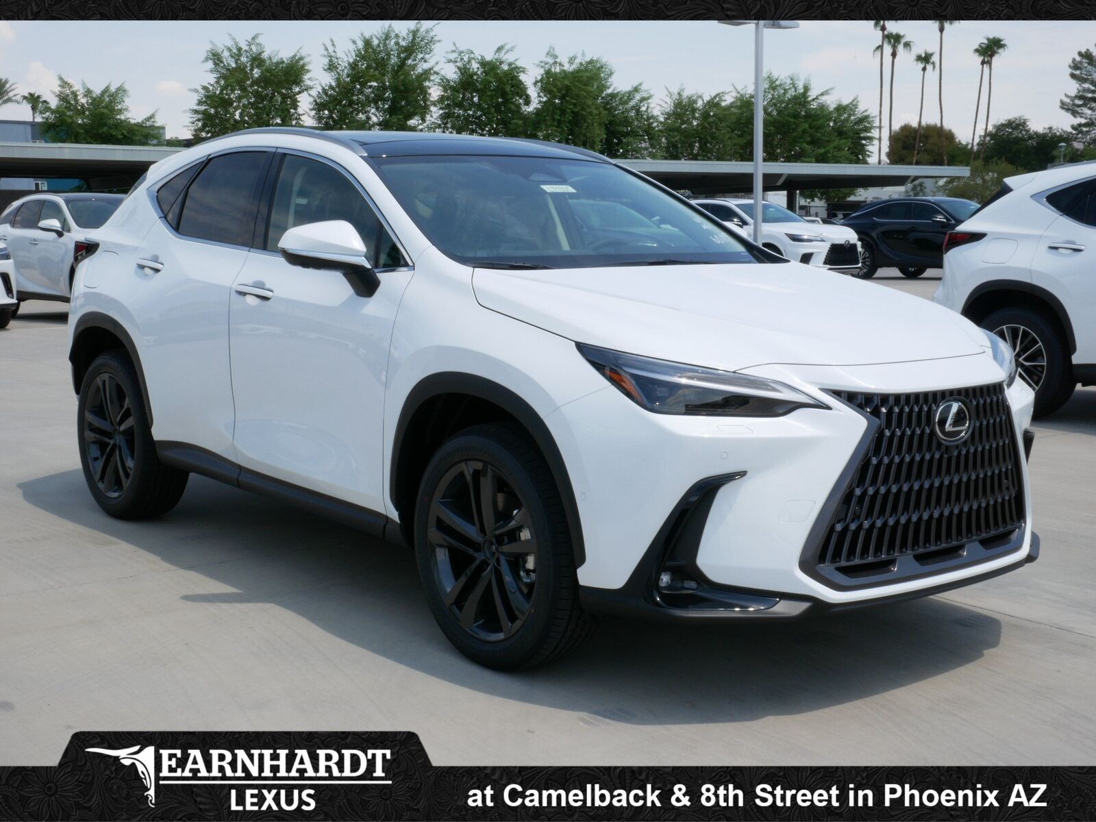 2026 LEXUS NX