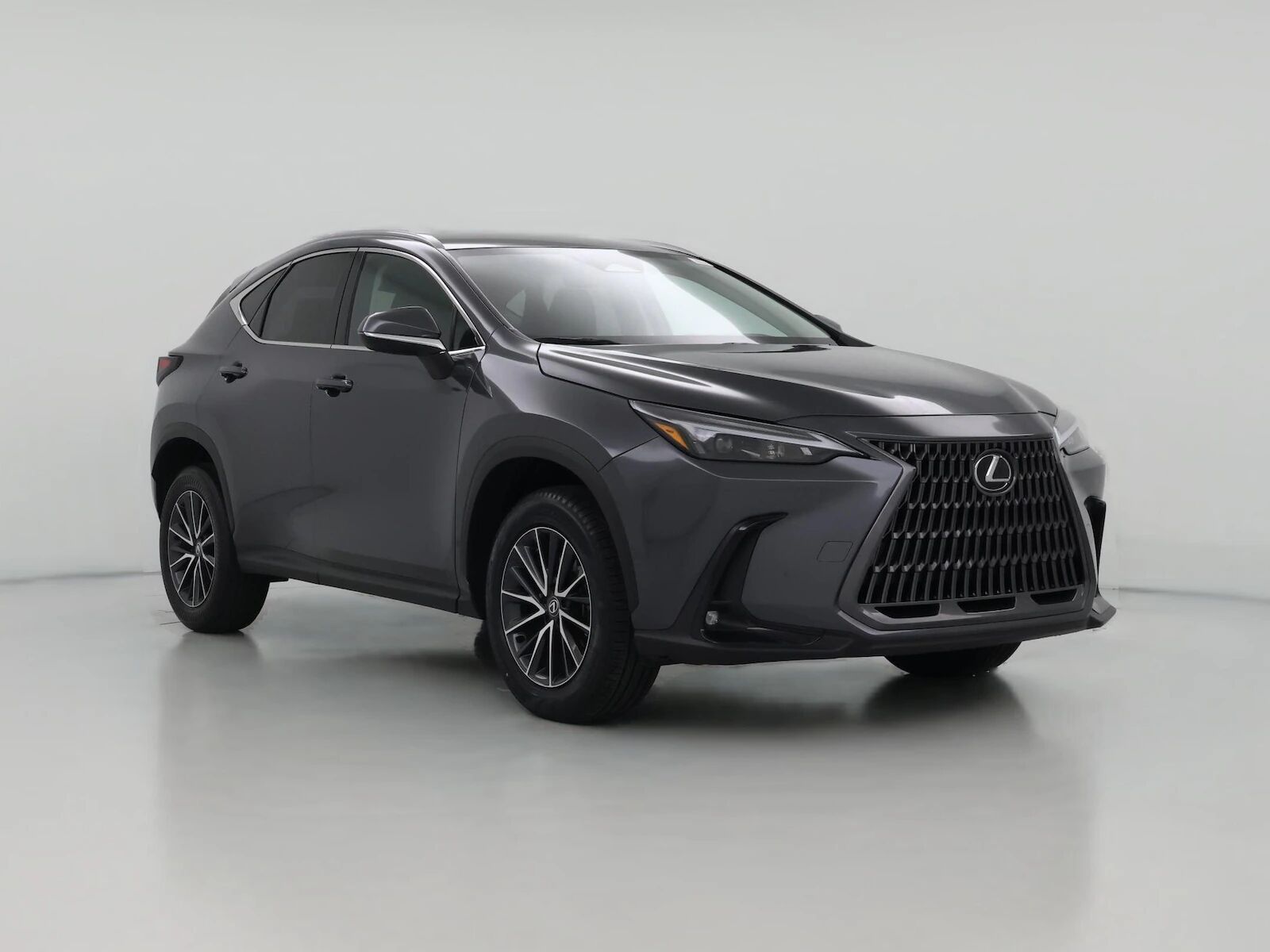 2024 LEXUS NX