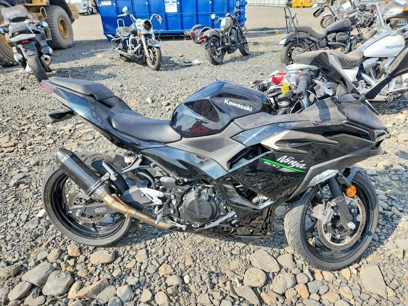 2024 KAWASAKI Ninja