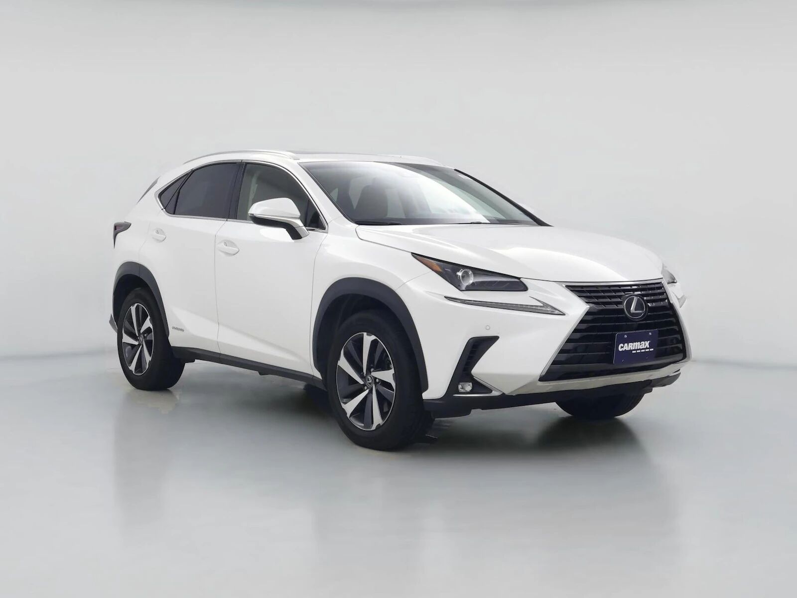 2019 LEXUS NX