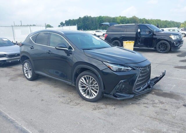2025 LEXUS NX
