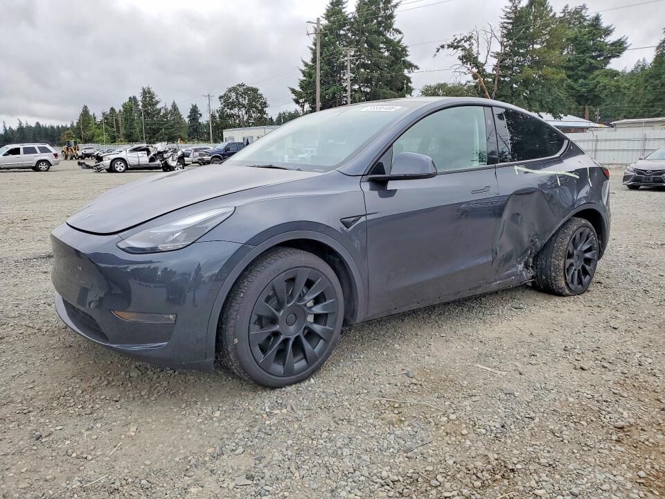 2025 TESLA Model Y