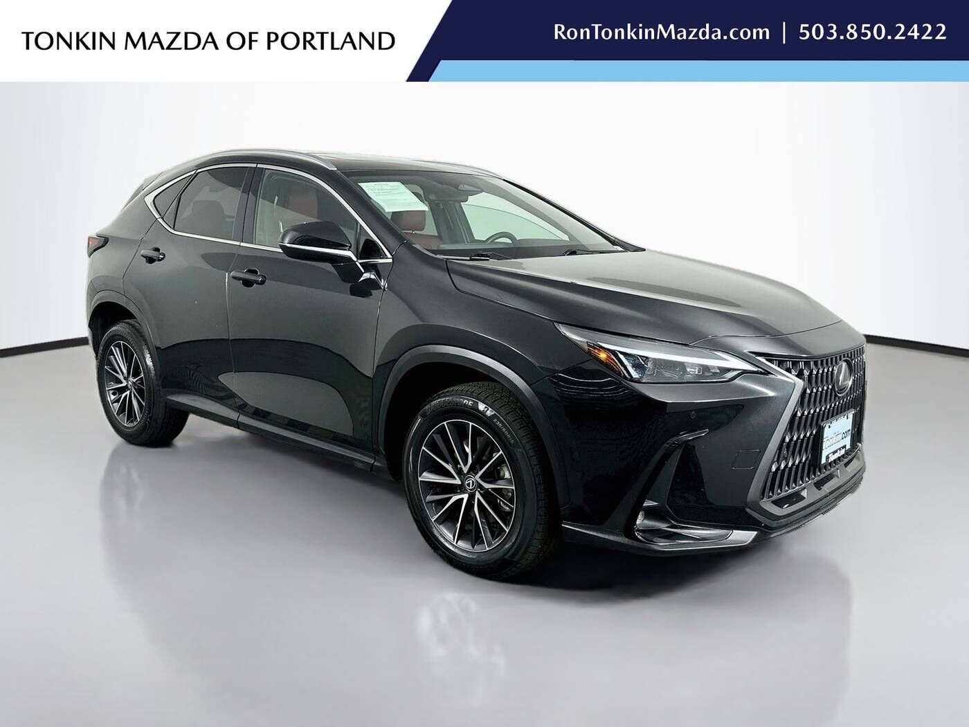 2024 LEXUS NX