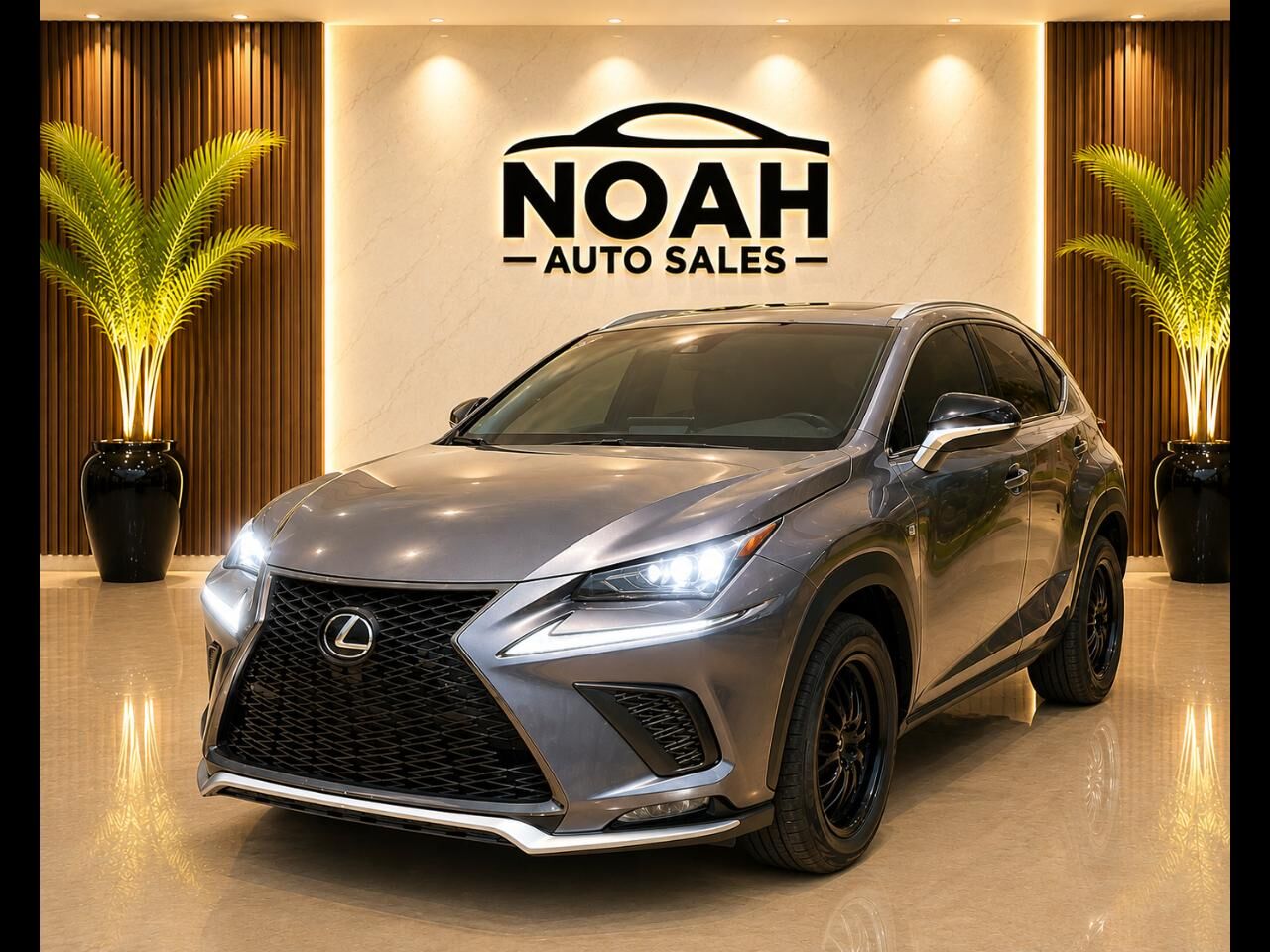 2019 LEXUS NX