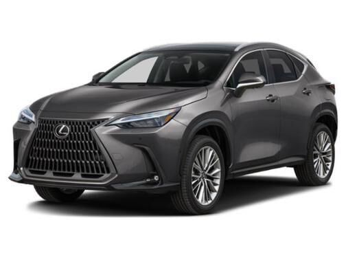 2026 LEXUS NX