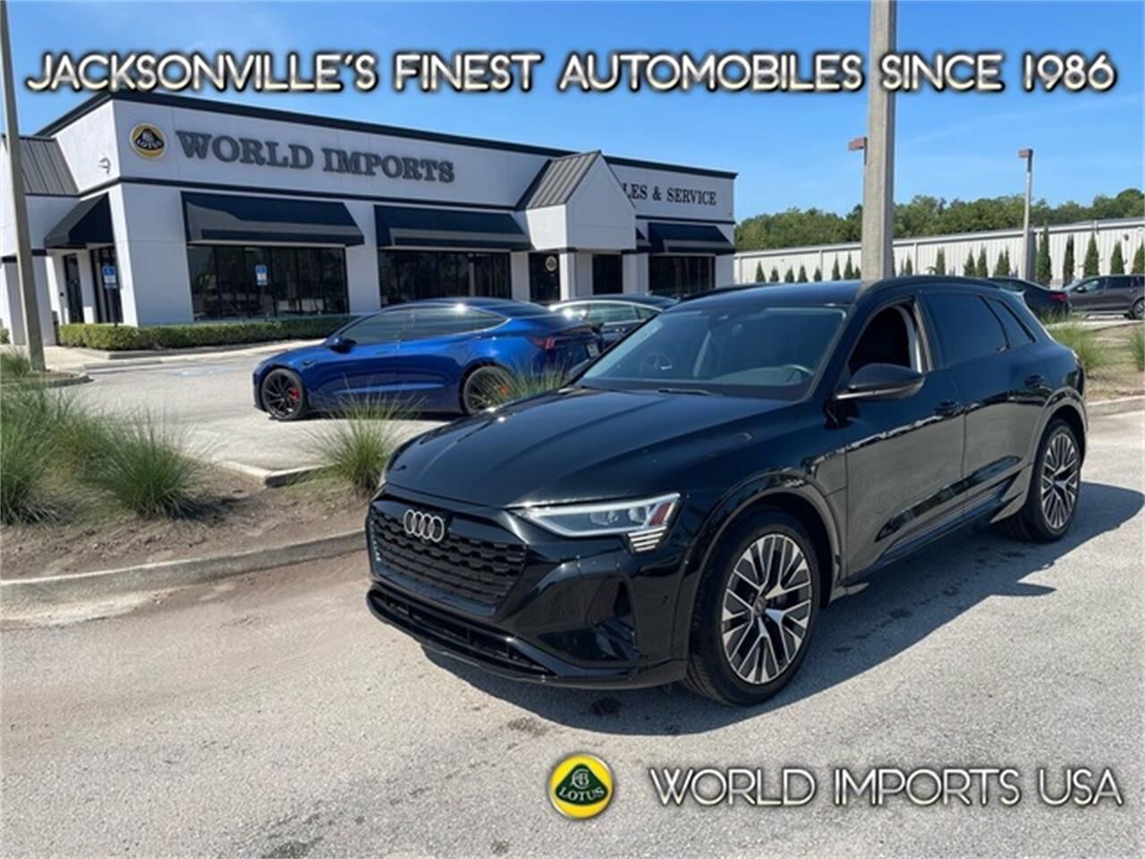 2024 AUDI Q8