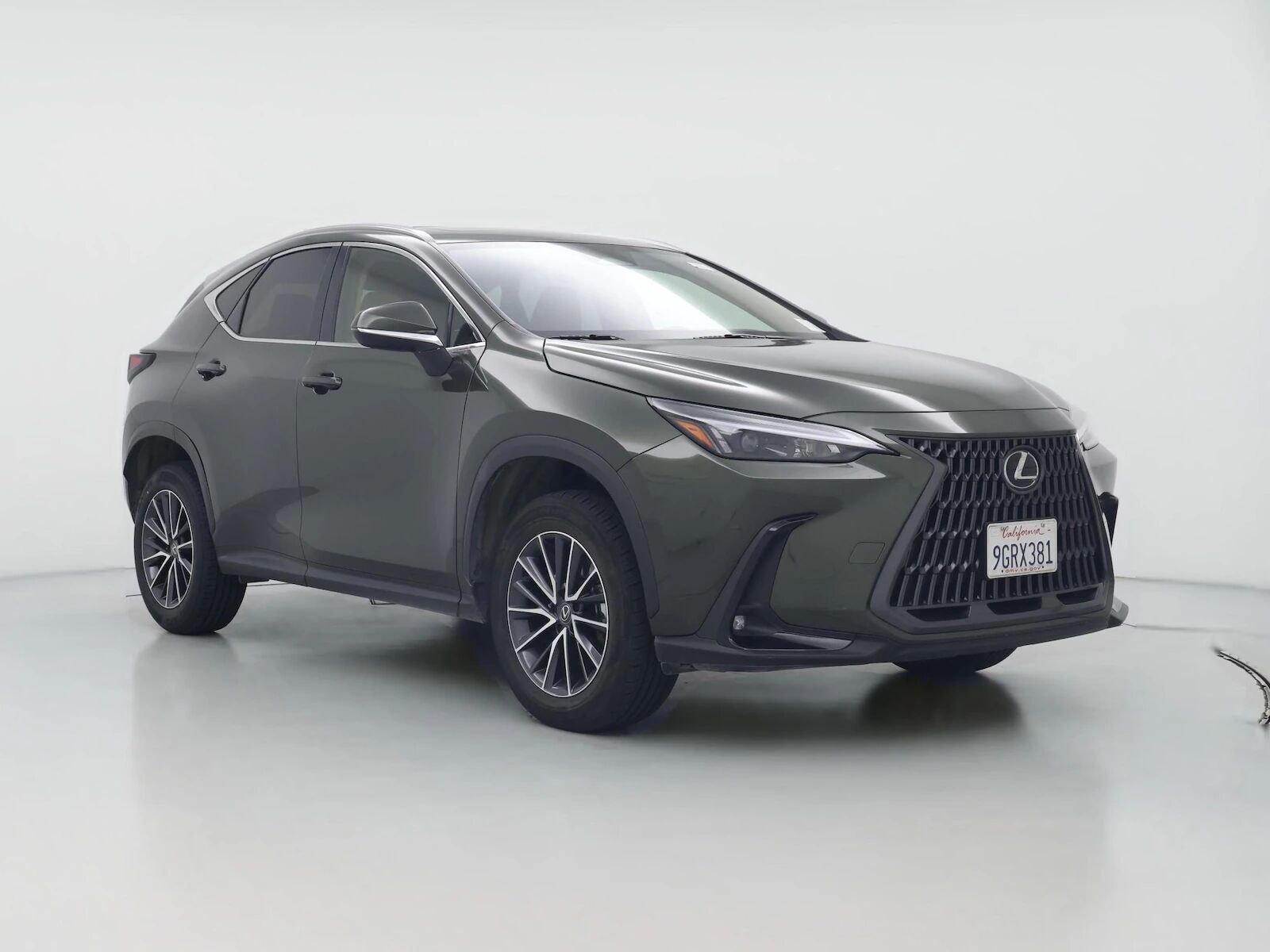 2024 LEXUS NX