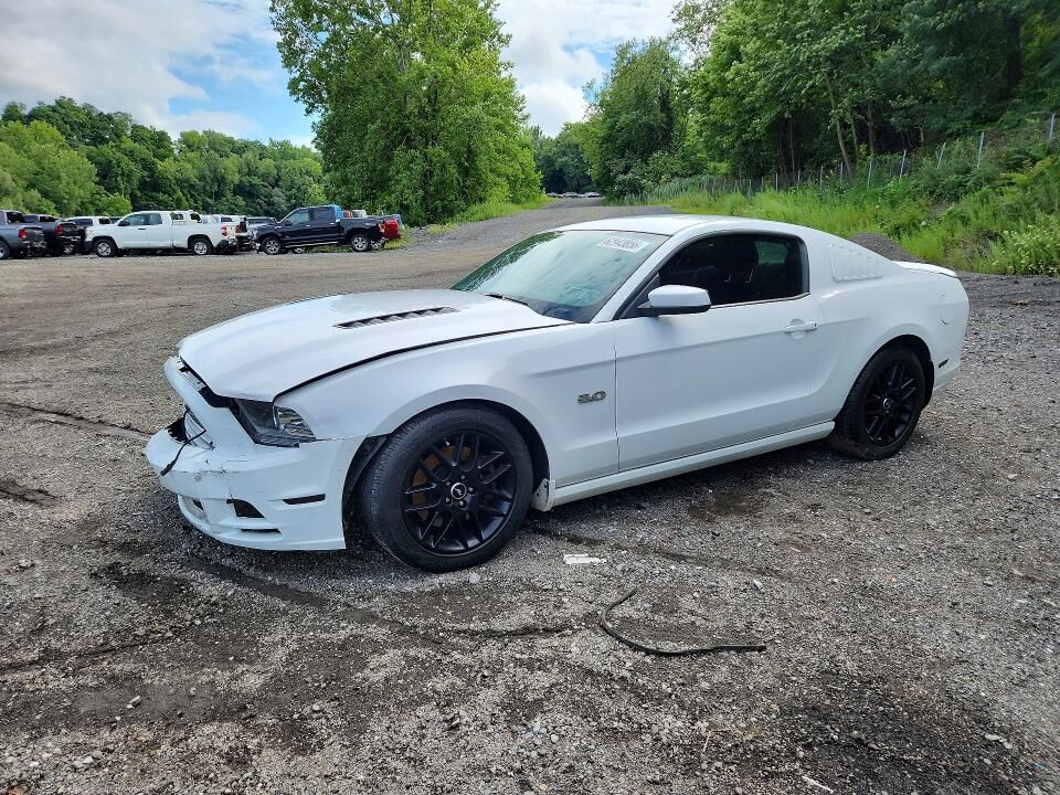 2014 FORD Mustang