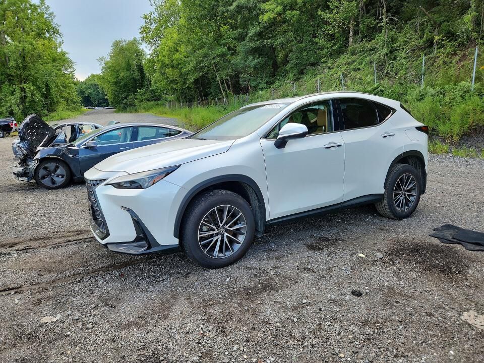 2024 LEXUS NX