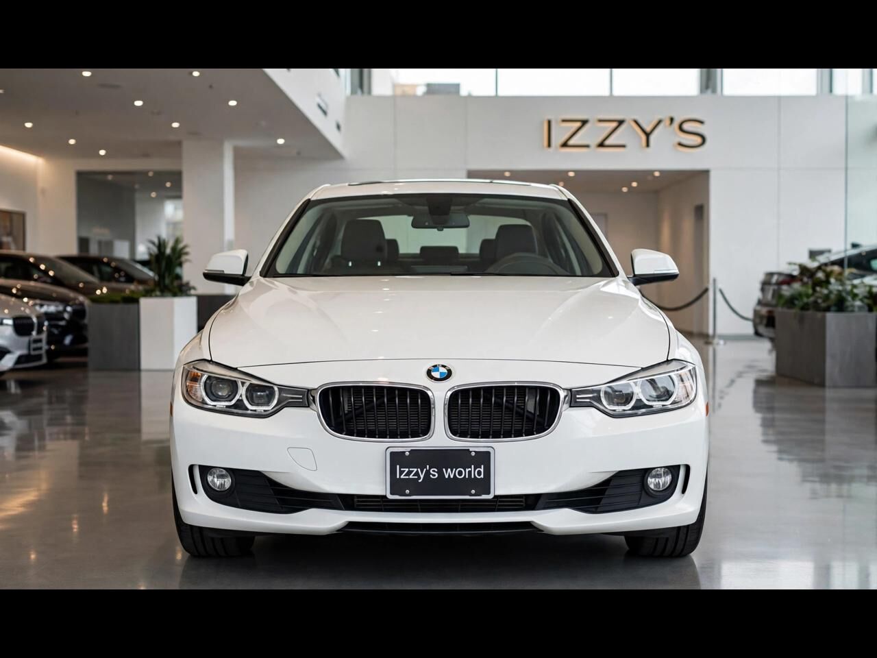 2015 BMW 3 Series