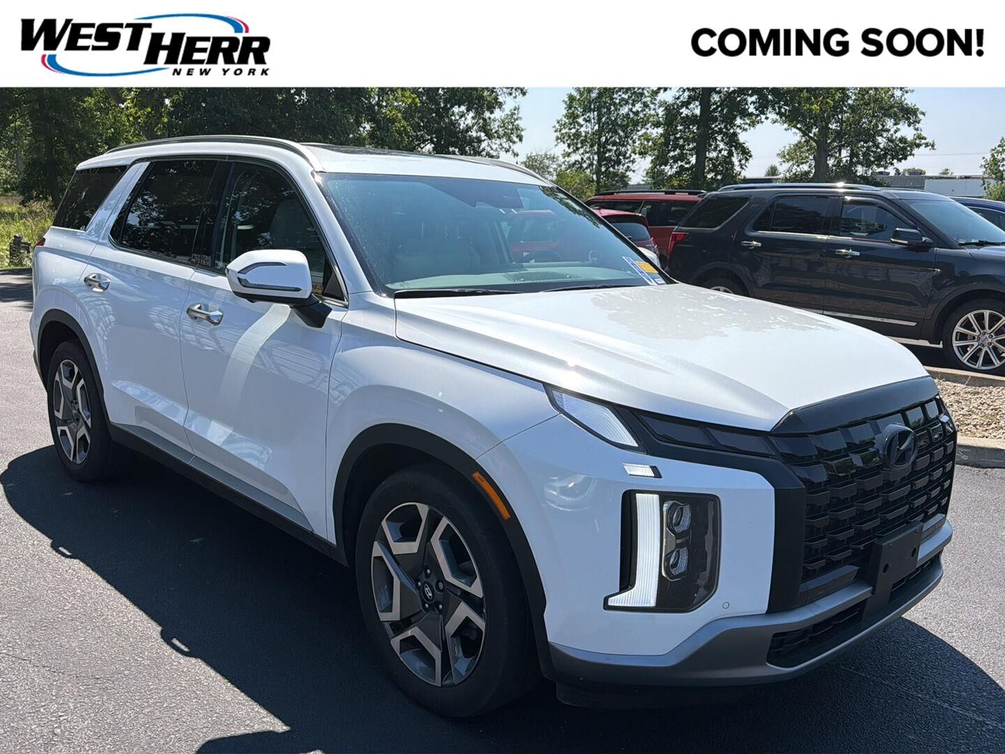 2025 HYUNDAI Palisade
