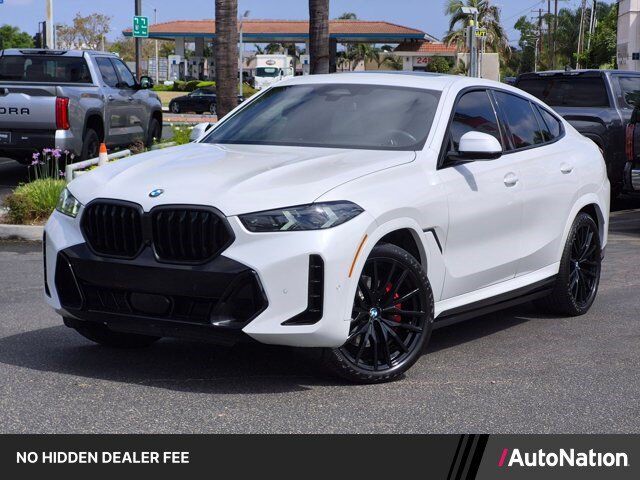 2024 BMW X6