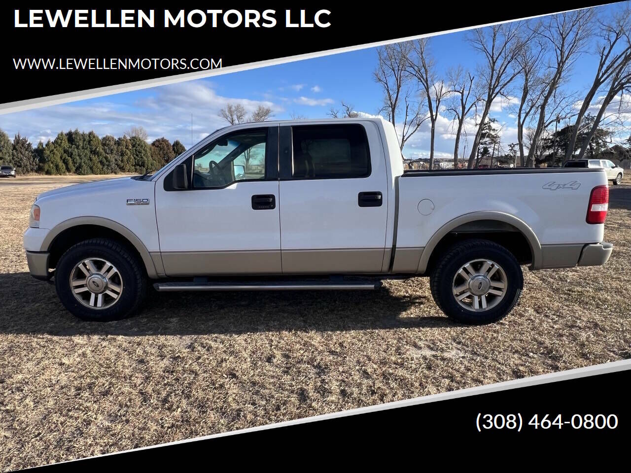 2007 FORD F-150
