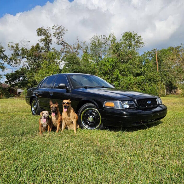 2011 FORD Crown Victoria