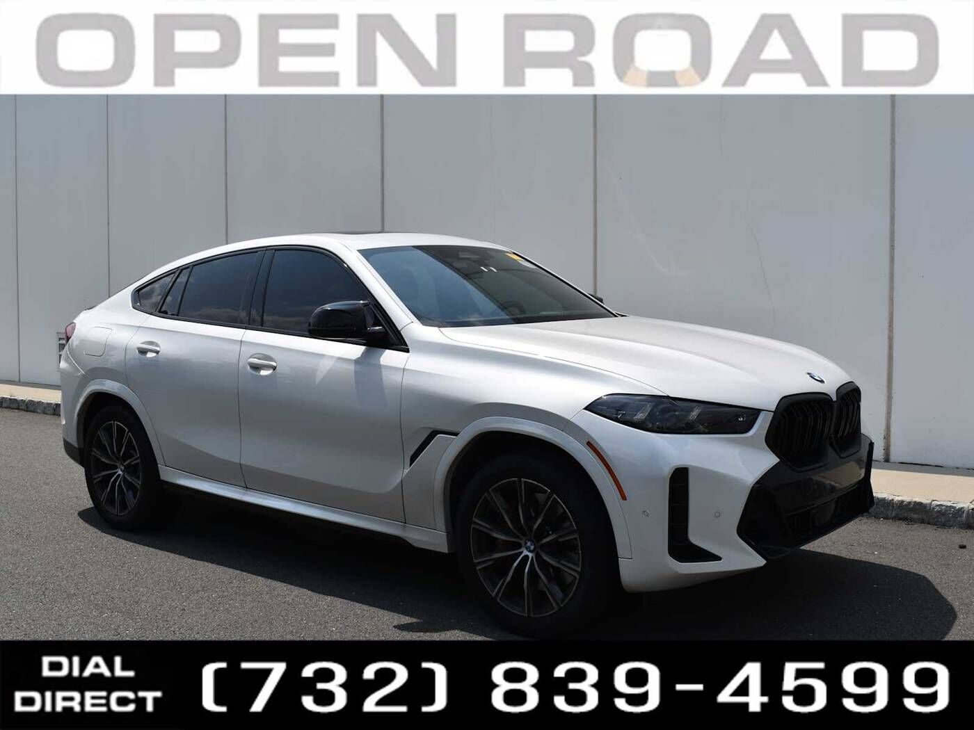 2025 BMW X6