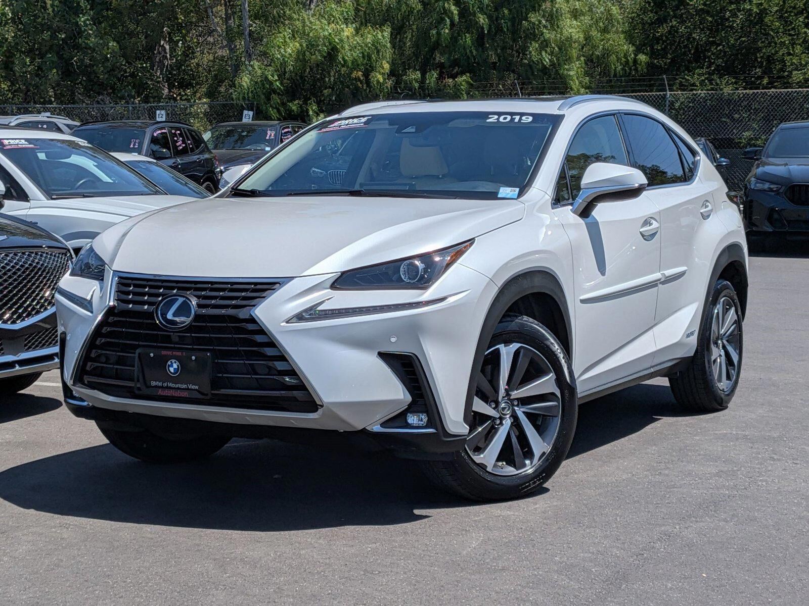 2019 LEXUS NX