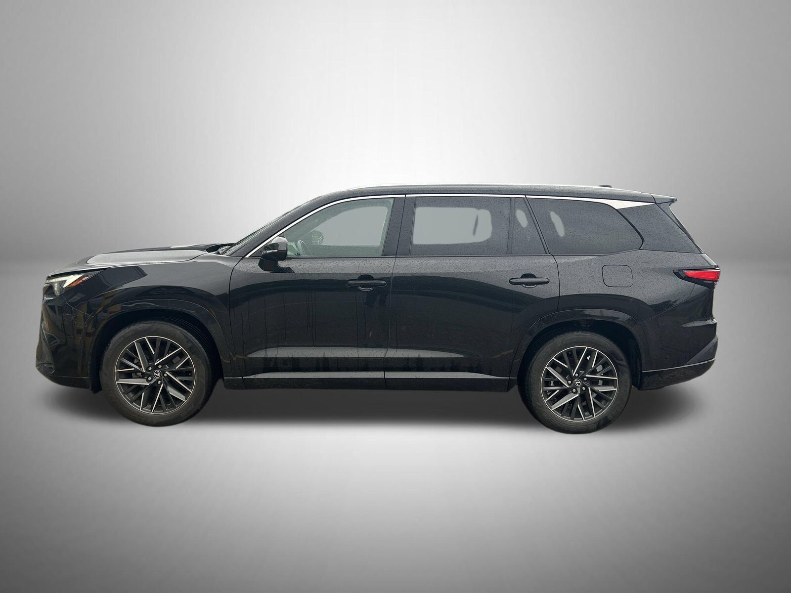 2024 LEXUS TX