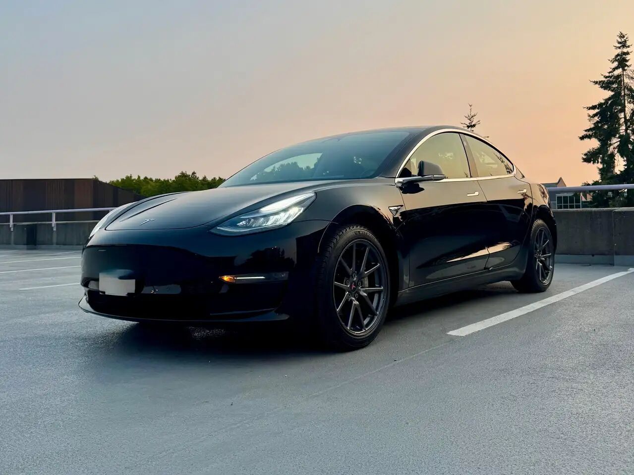 2019 TESLA Model 3