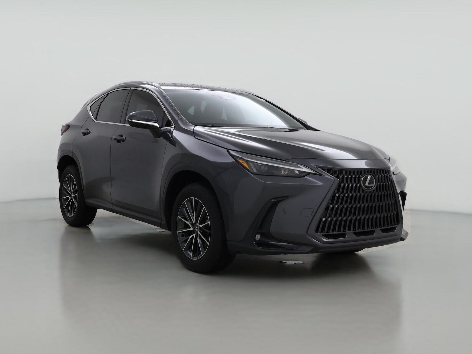 2025 LEXUS NX